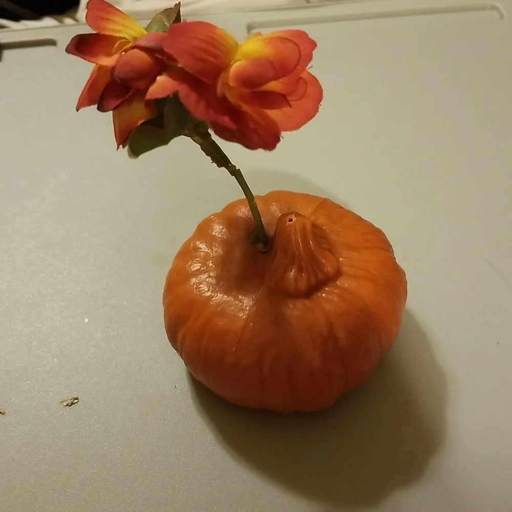 NOT FOR SALE - Picture 4 of 5